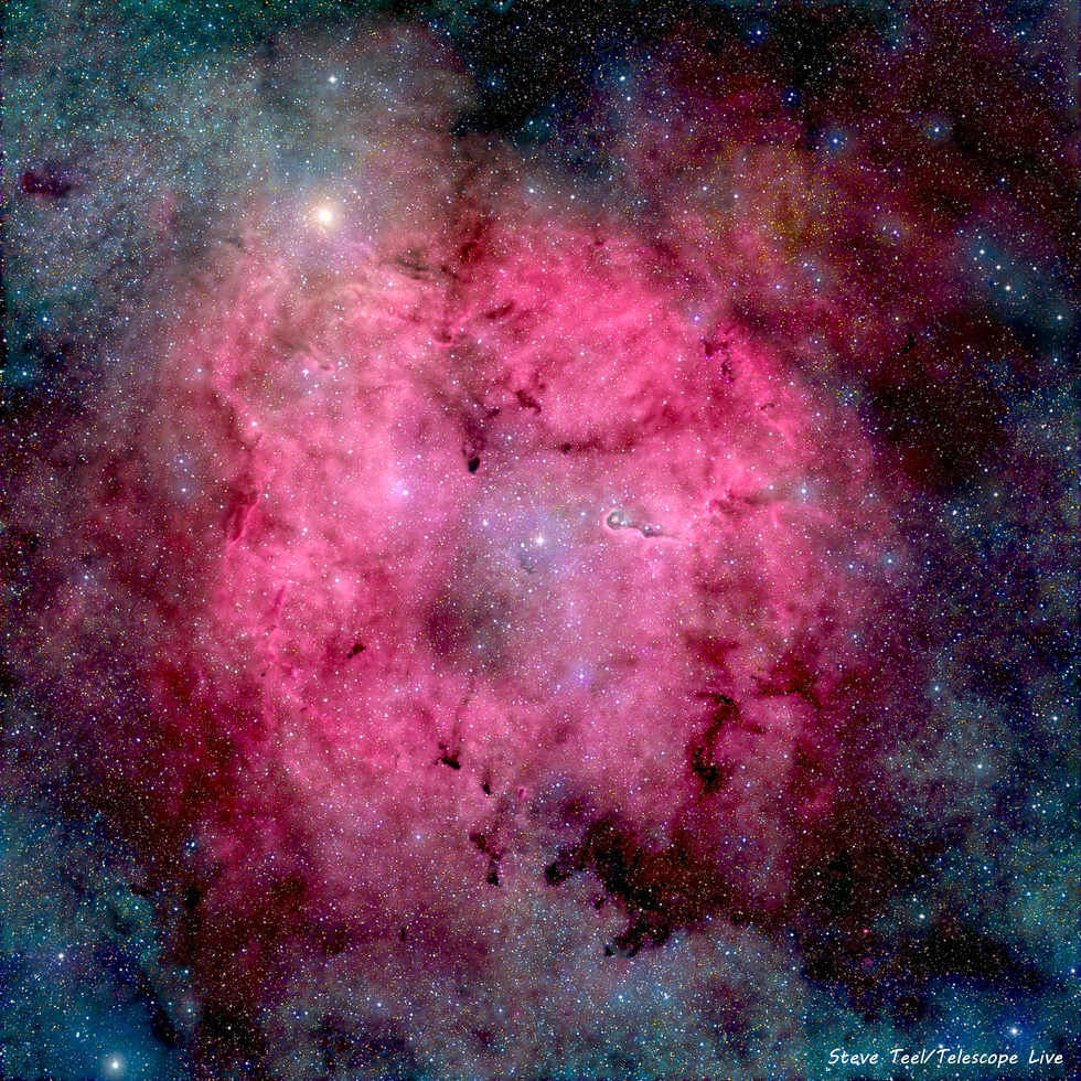 The Elephant Trunk Nebula