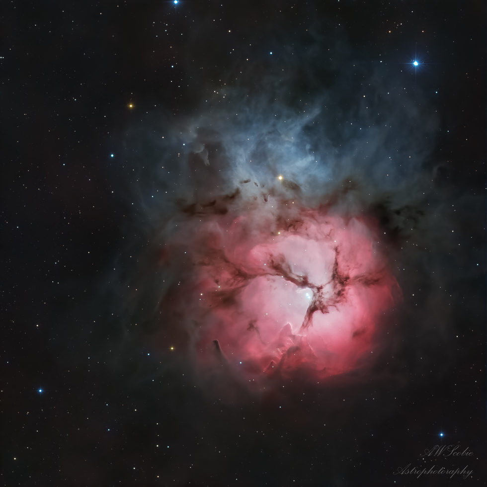 The Trifid Nebula (M20)