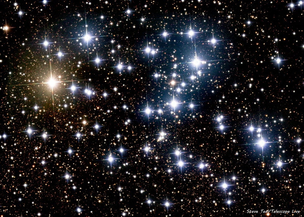 The Butterfly Cluster