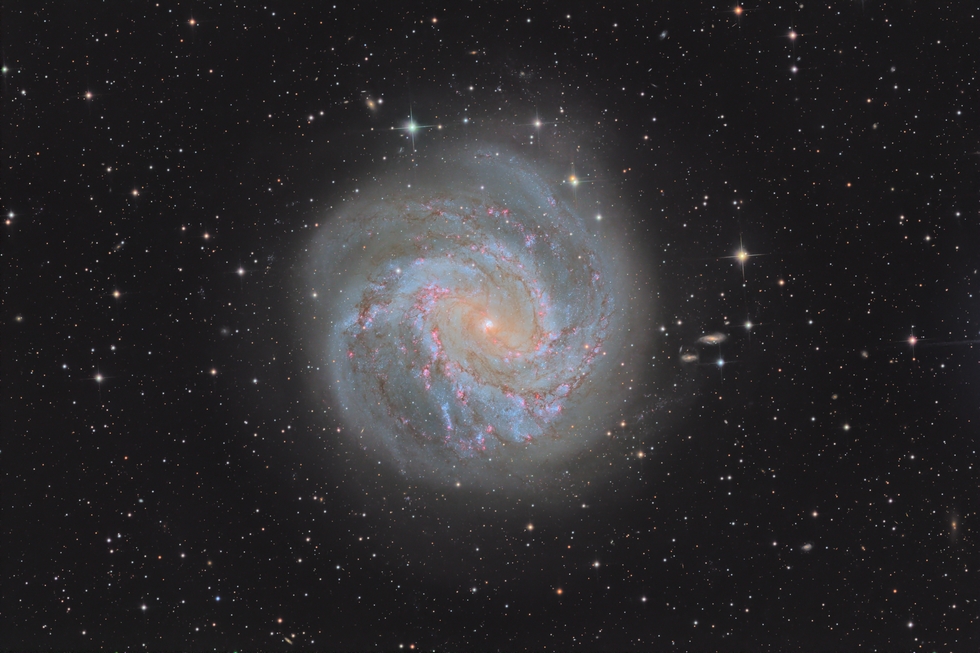 M83