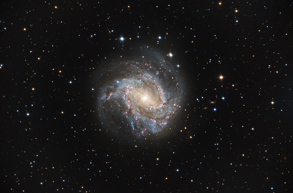 M83 Using Planewave CDK24 from Rio Hurtado Valley Chile