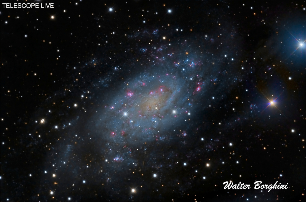 NGC 2403