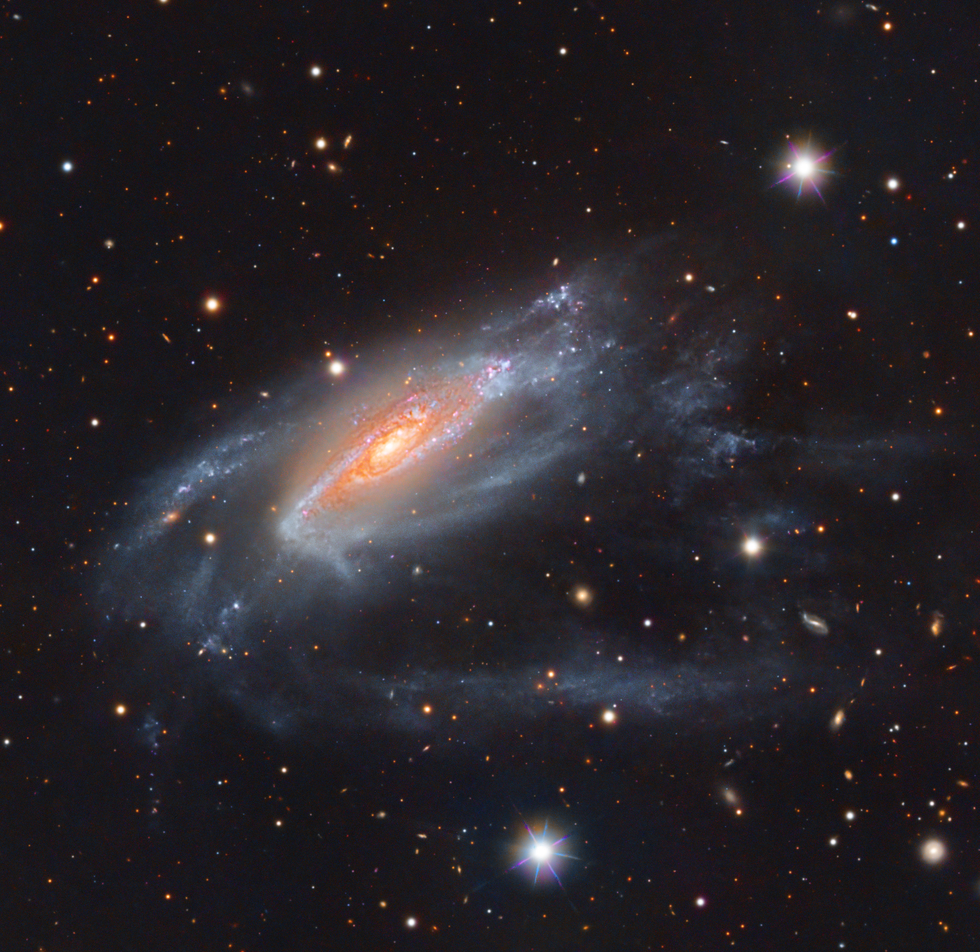 NGC 3981 | Telescope Live