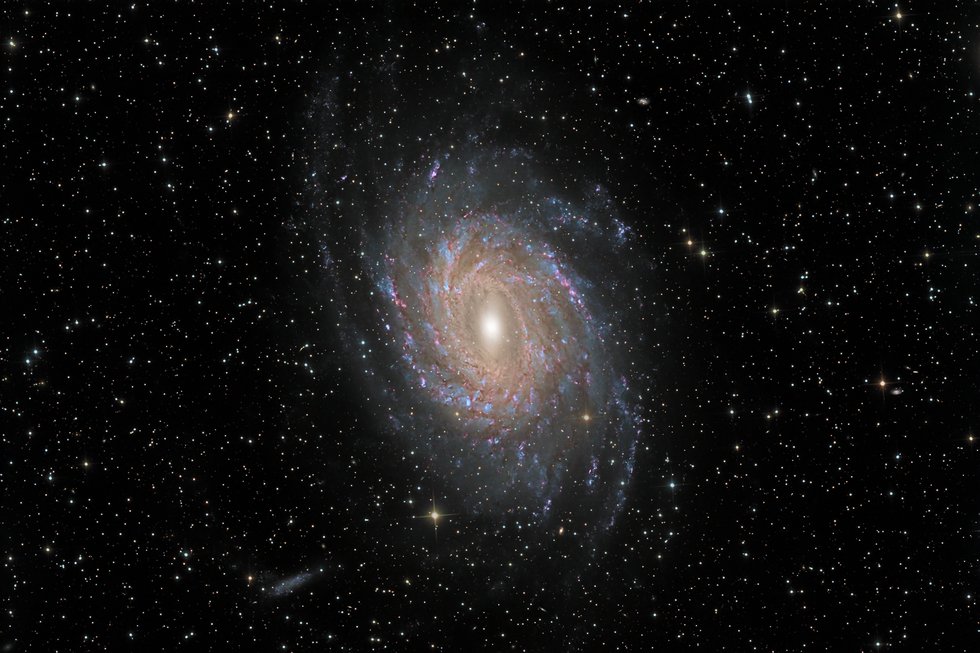NGC67444