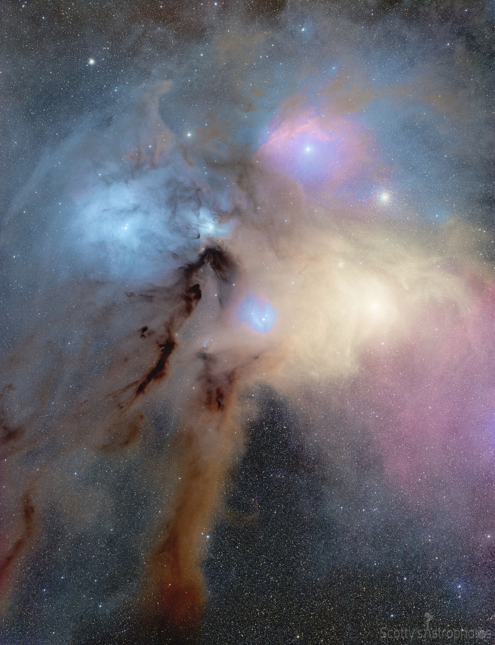 Rho Ophiuchi Area