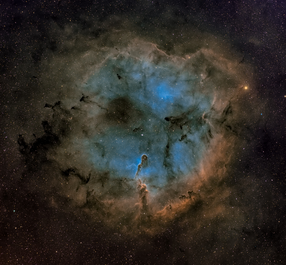 Elephant Trunk Nebula...