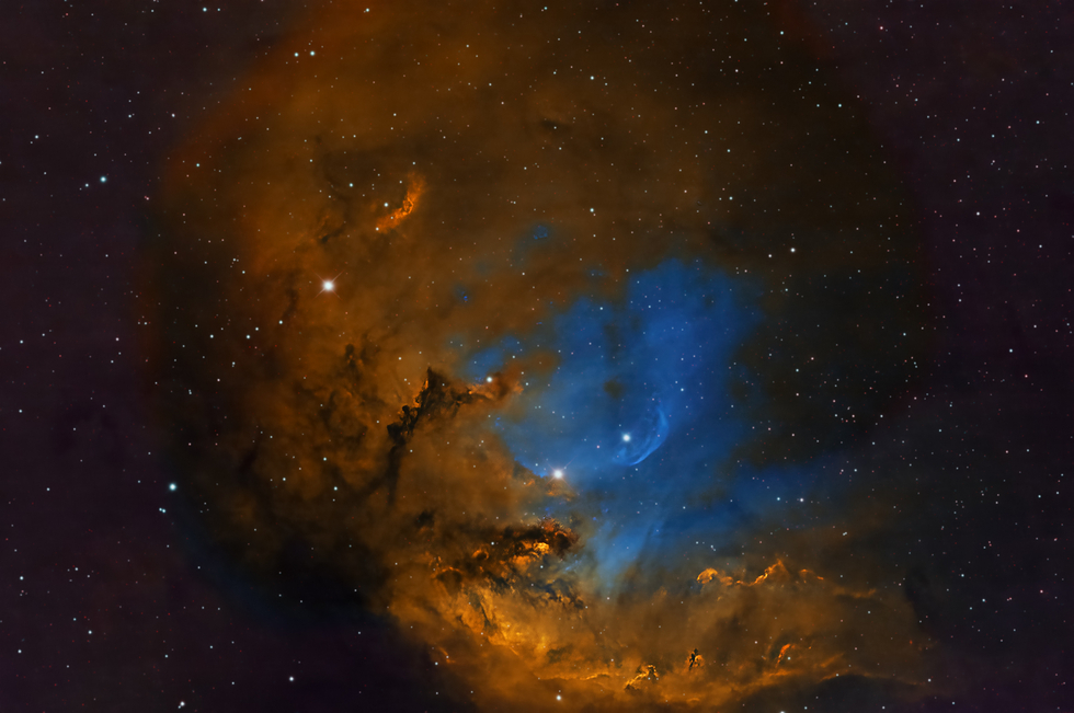 Tulip Nebula   (SH2-101 )