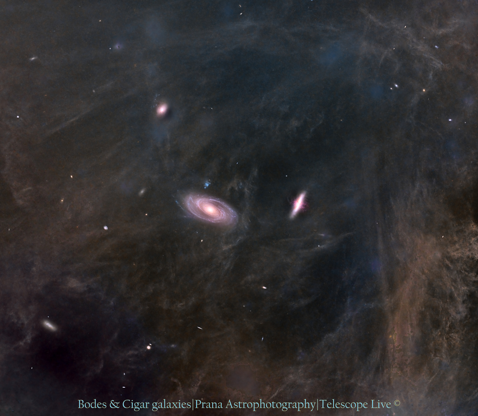 Bodes, Cigar & Infinite friends (Starsless, LRGB, Widefield)!