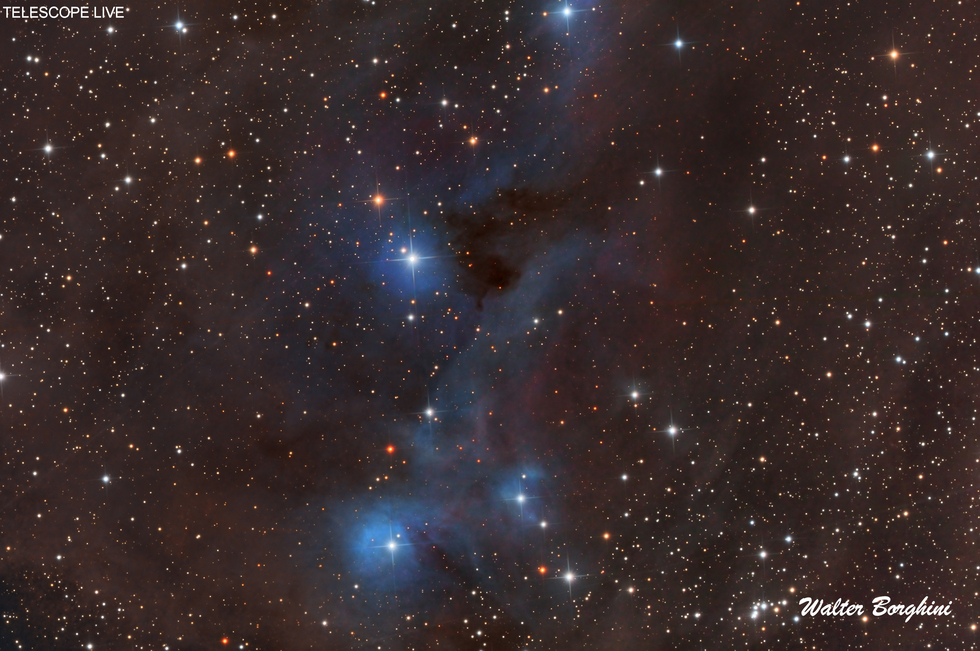 IC 2169