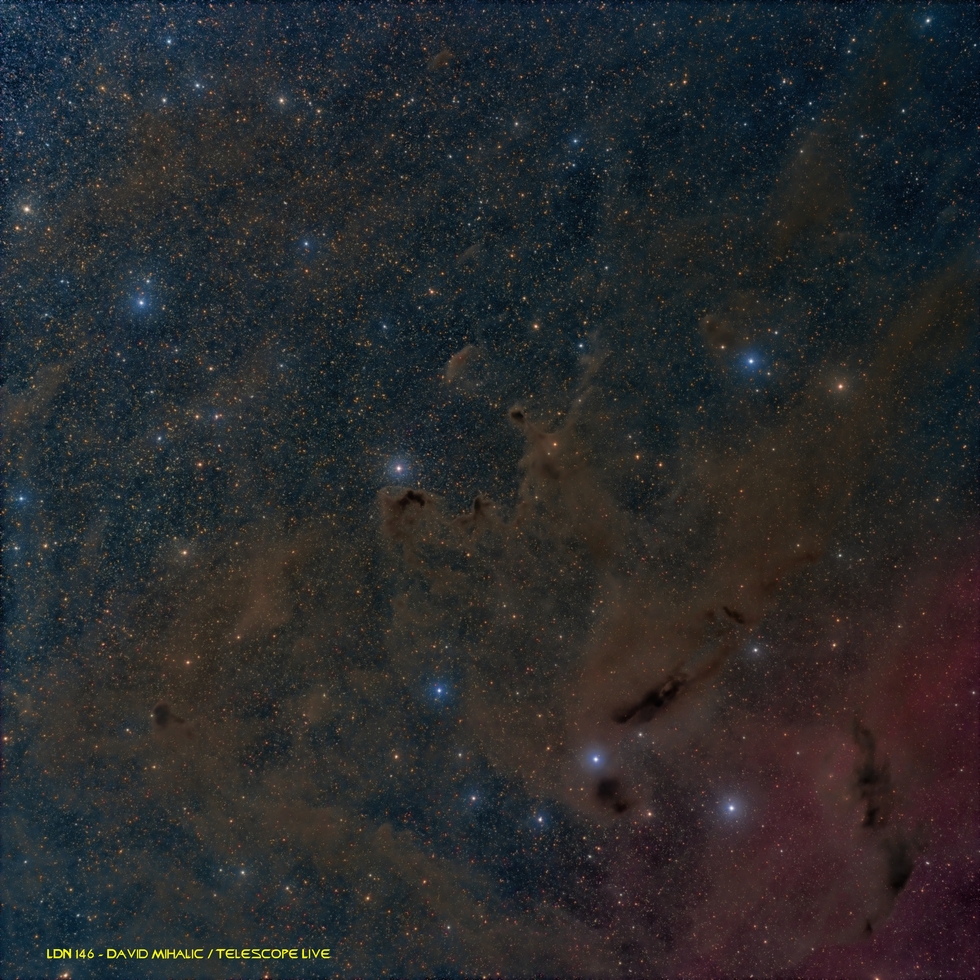 LDN 146 Molecular Cloud in Ophiuchus