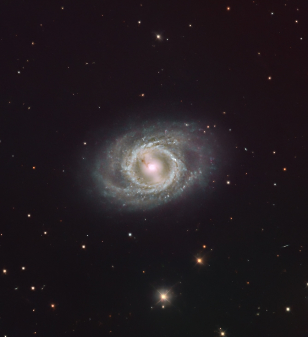 M95