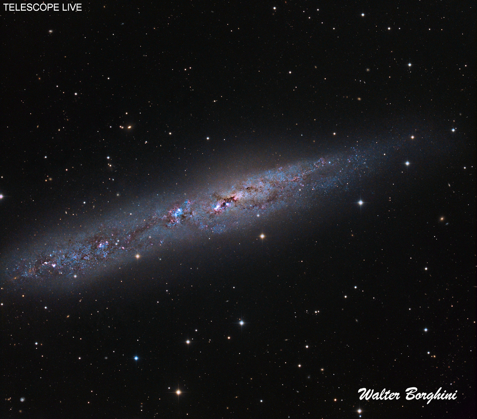 NGC 55