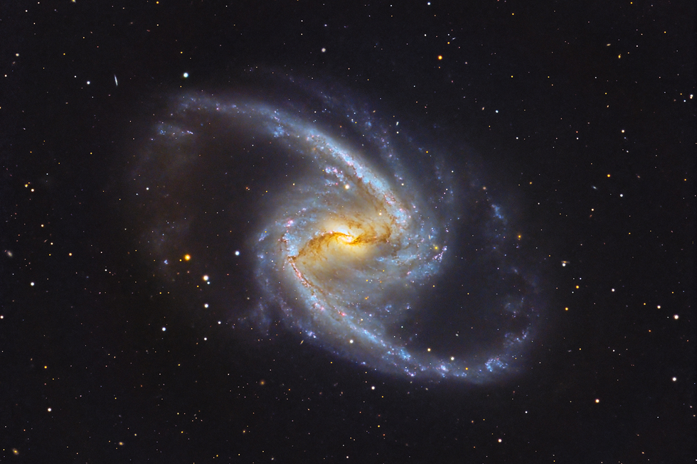 NGC1365