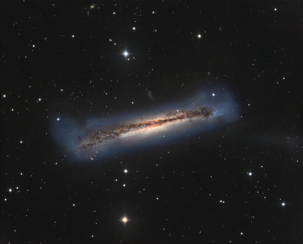 The Hamburger Galaxy