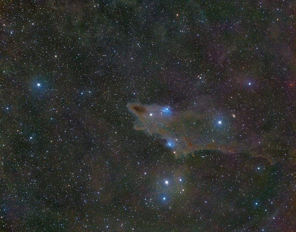 The Shark Nebula in Cepheus 