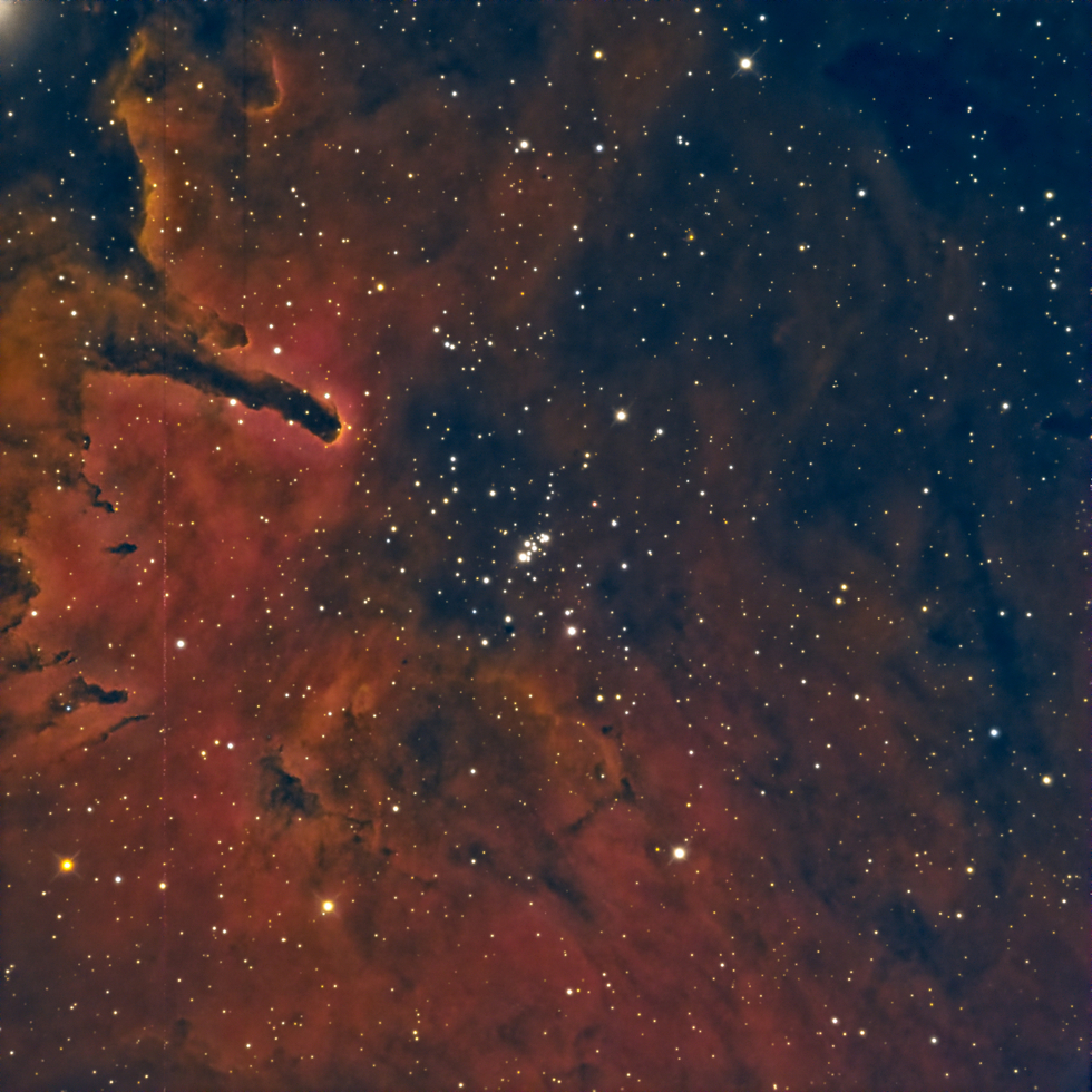 Behold the Beauty of NGC 6823 and the Fox Fur Nebula