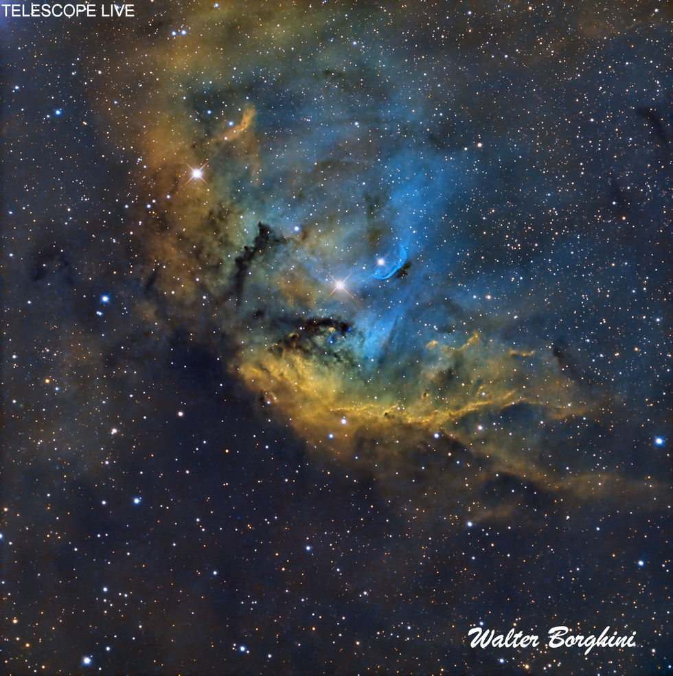 TULIP NEBULA