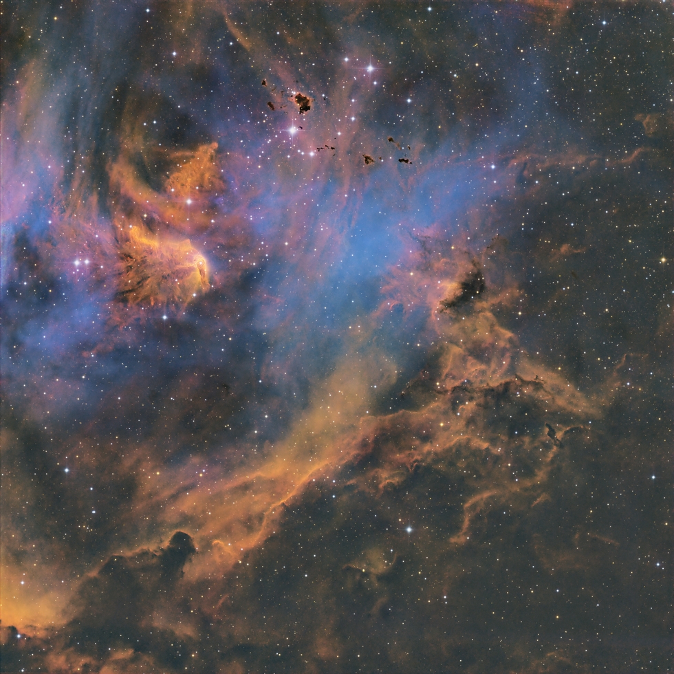 IC 2948 - The Running Chicken Nebula