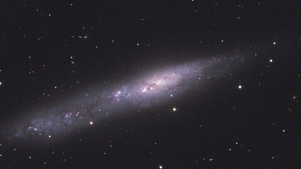 NGC 55