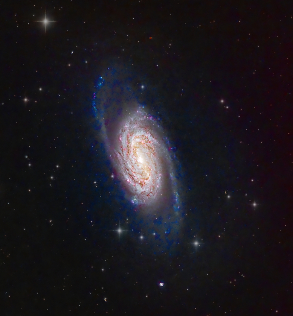 NGC2903