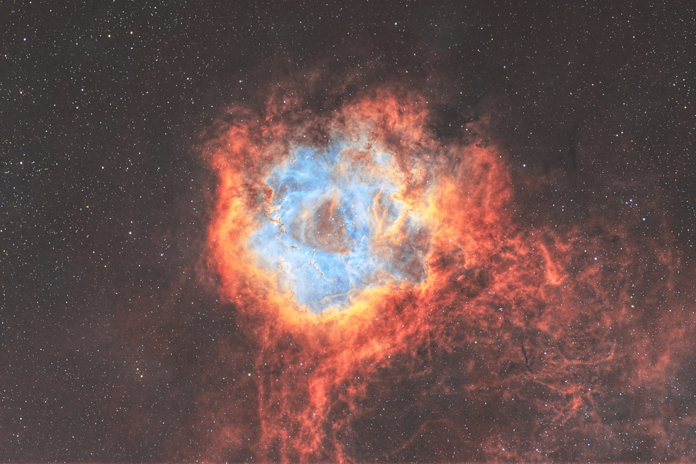 Rosette Nebula