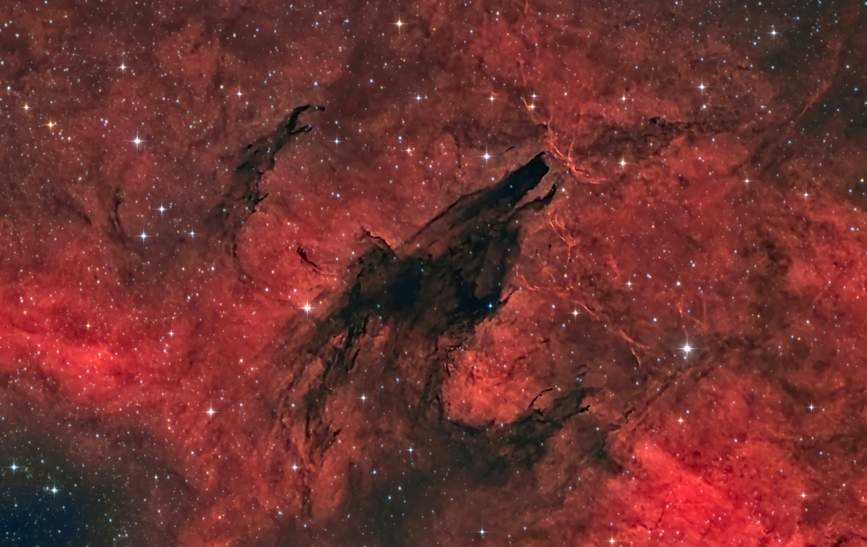 Dark Wolf howling (Zoomed in\Ha+LRGB)