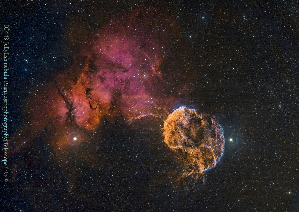 IC443, Jellyfish nebula (HSO version) 