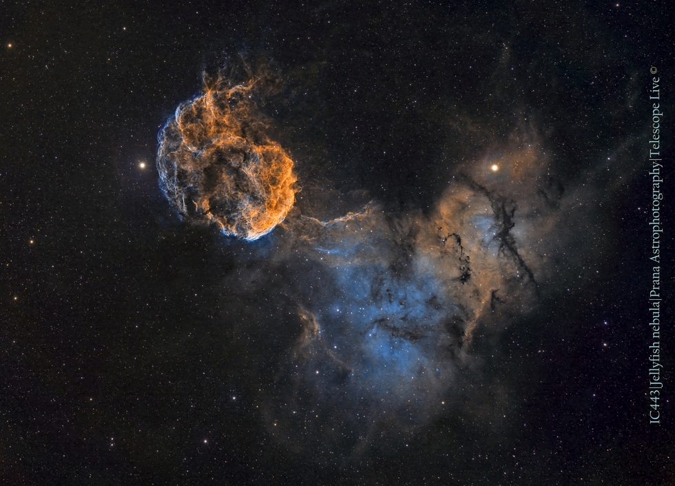 IC443, Jellyfish nebula (Custom SHO blend)