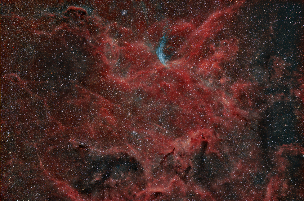 NGC 6883