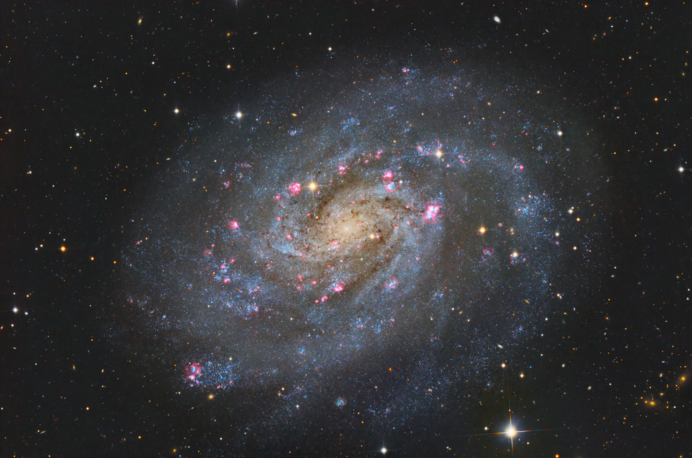 NGC300