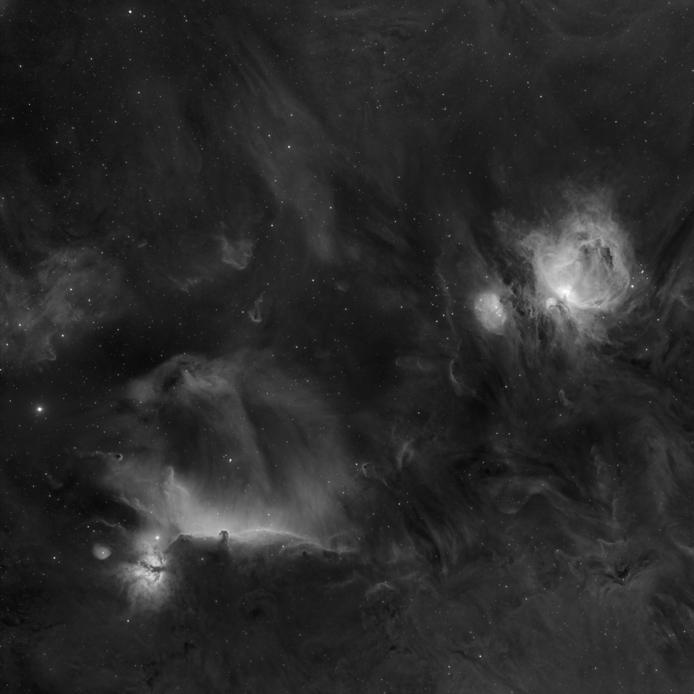 Orion Widefield