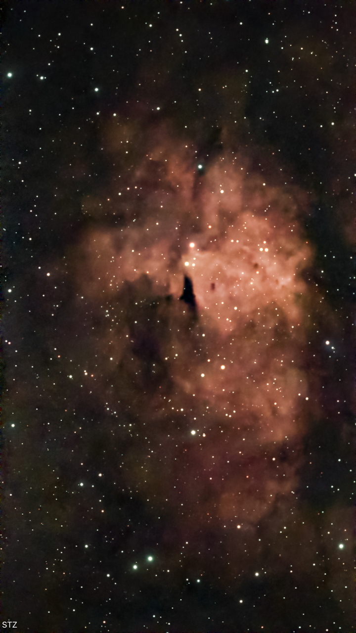 IC1318