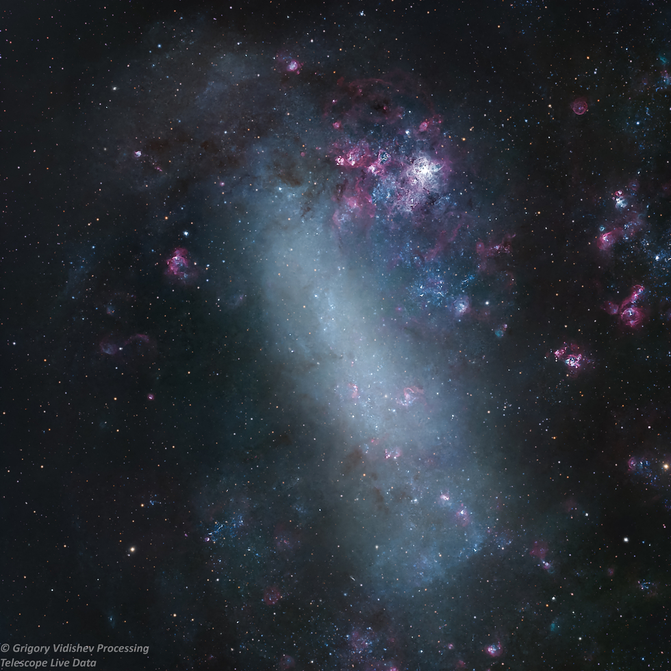 Large Magellanic Cloud 