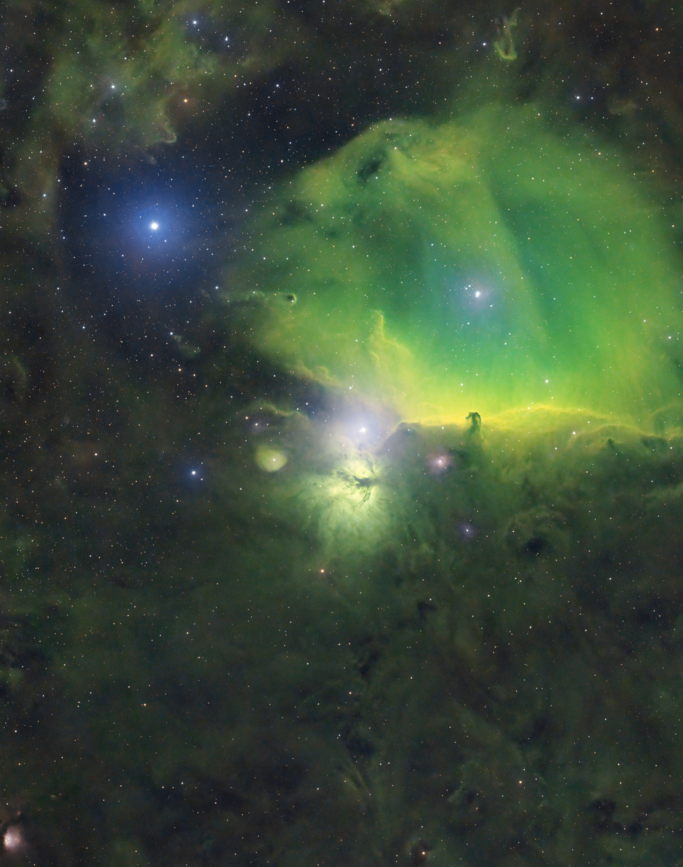 🔥 Horsehead & Flame Nebulae - A Celestial Duo 🔥