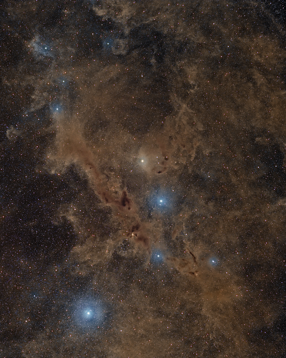 Barnard 228 or The Dark Wolf Nebula