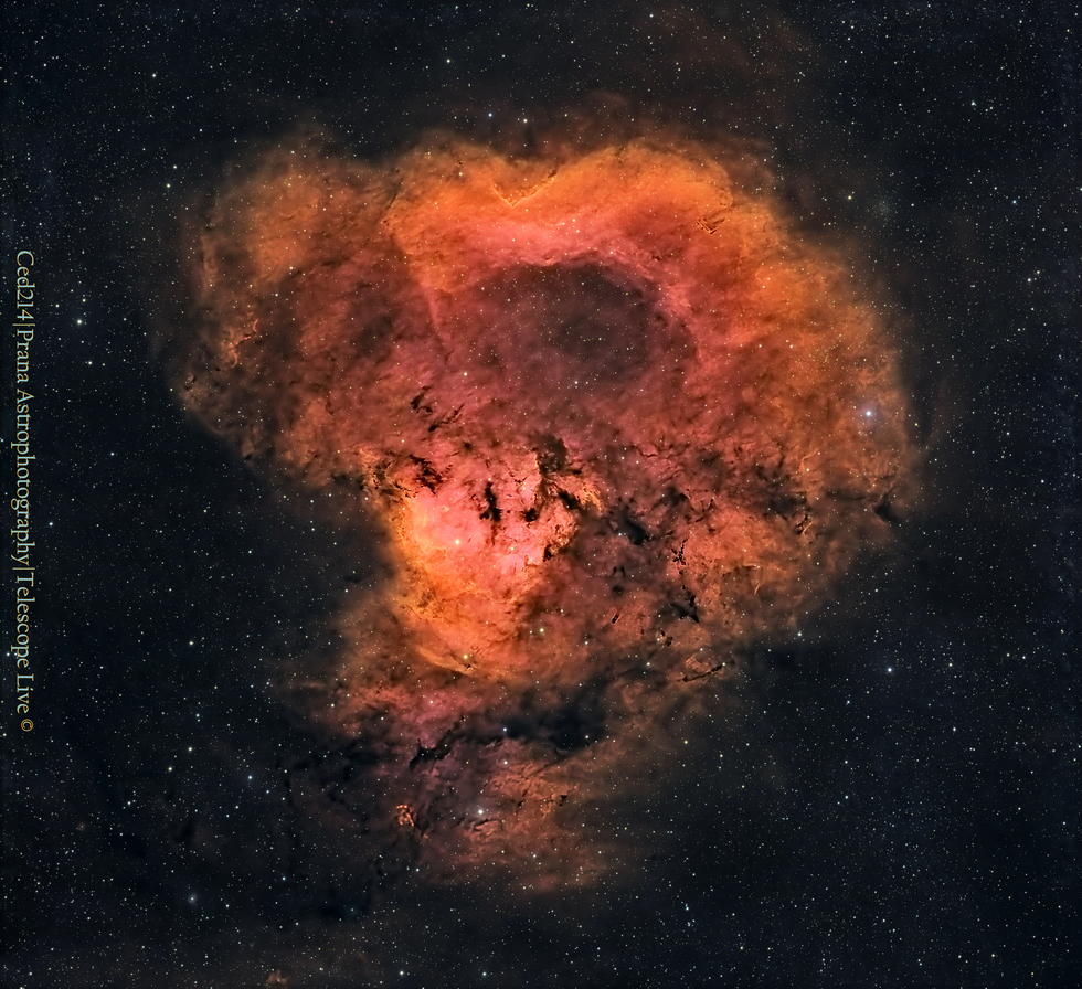 Ced214 (HSO blend)