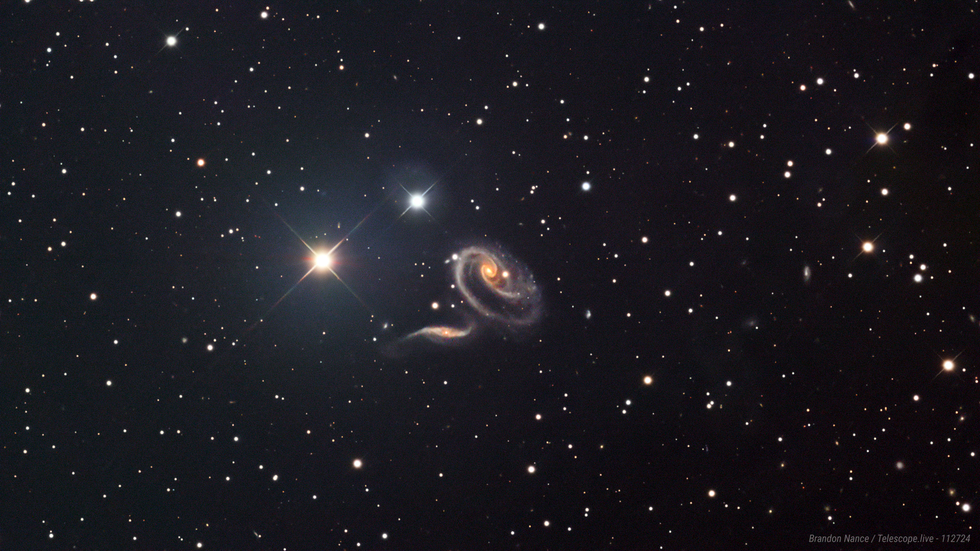 ARP 273