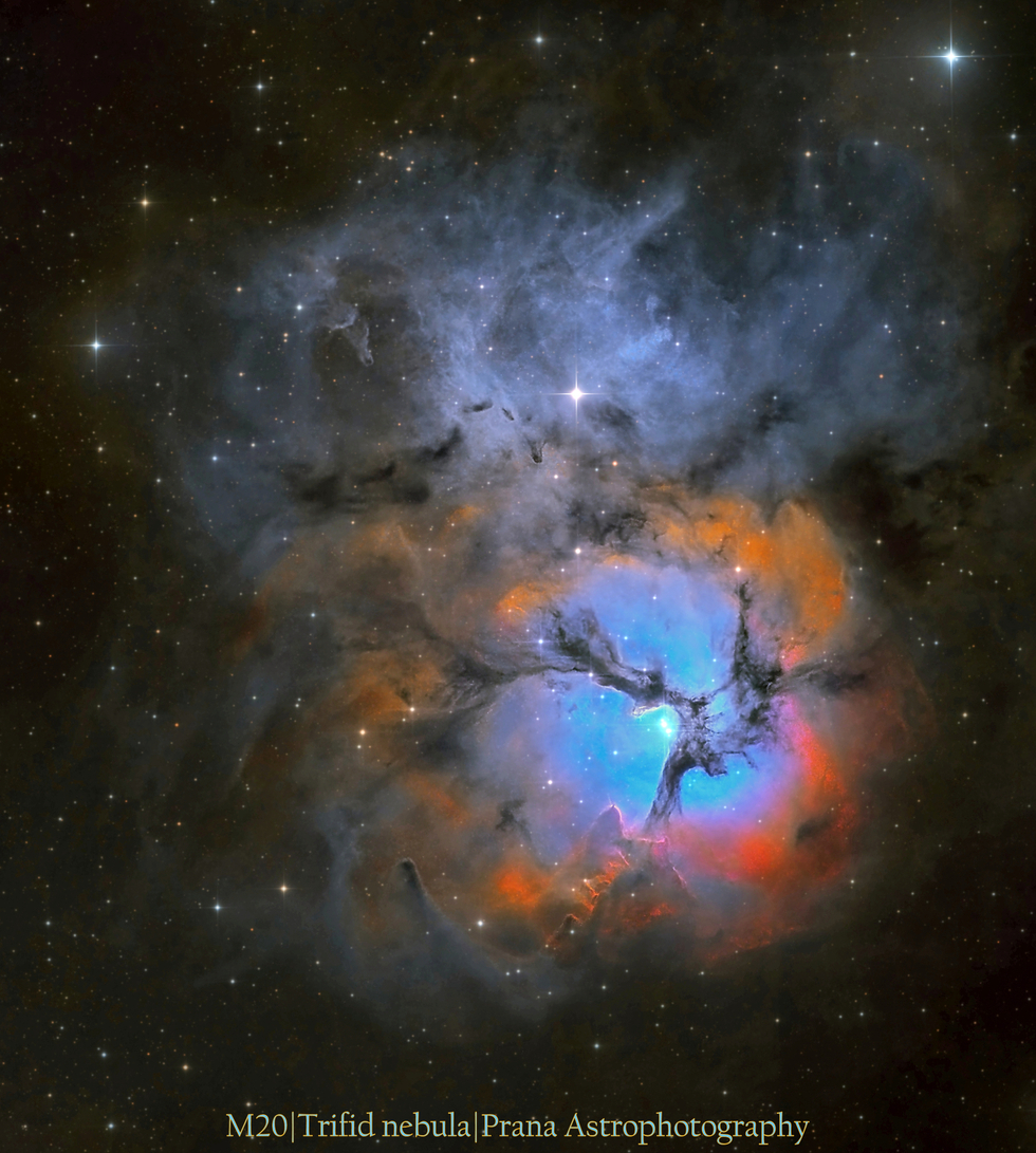 M20, Trifid nebula (SHO)