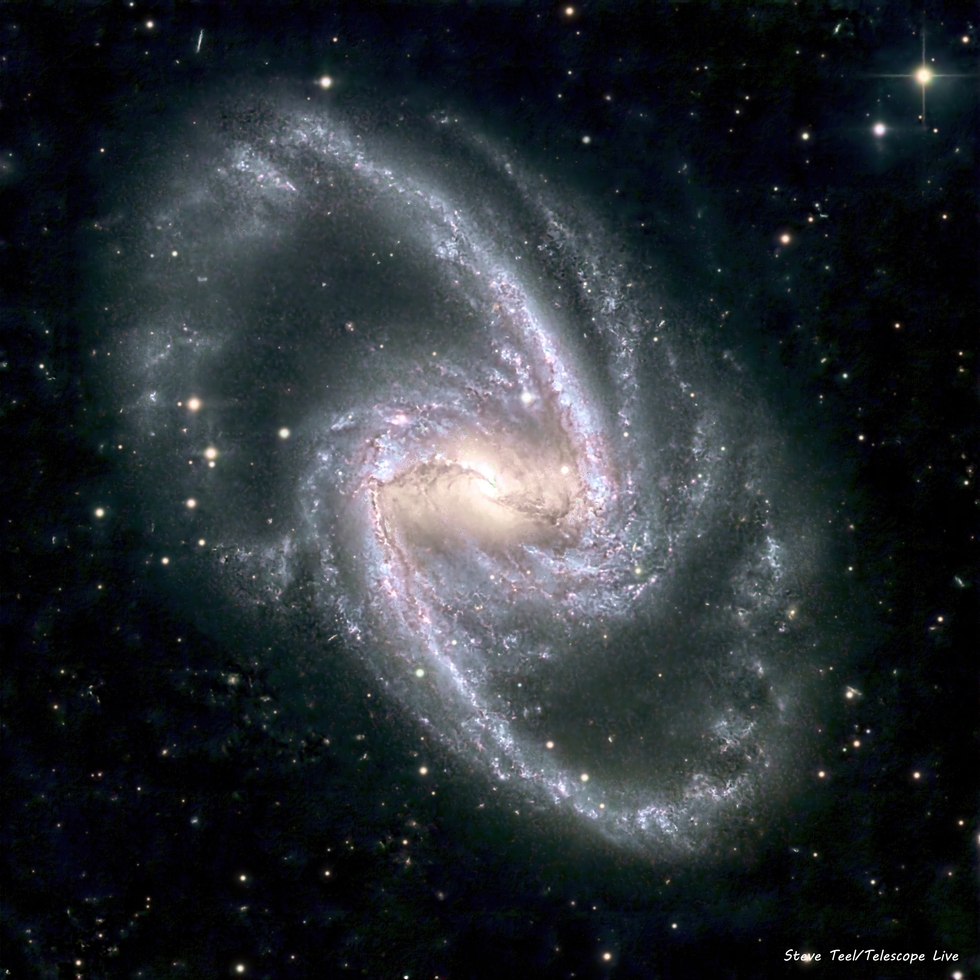 NGC1365