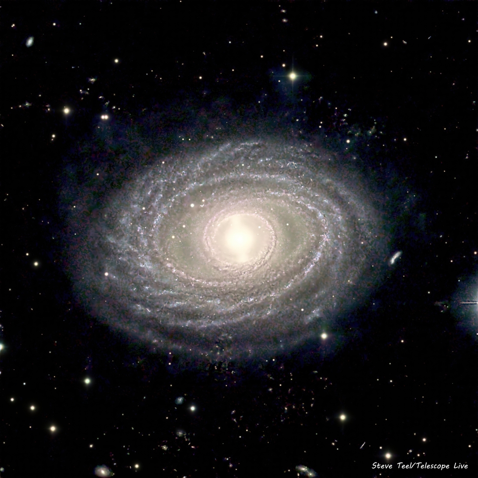 NGC1398