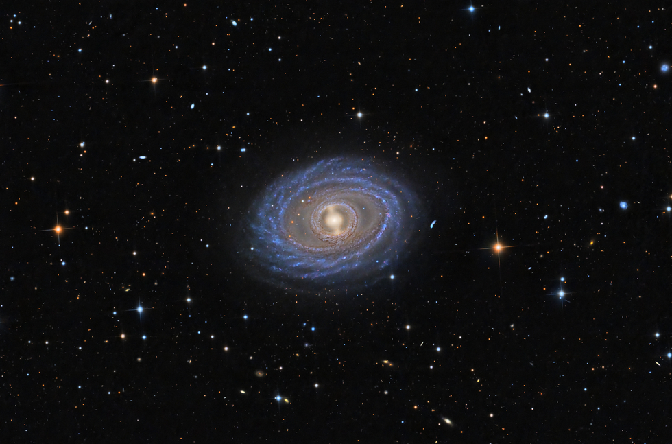 NGC1398