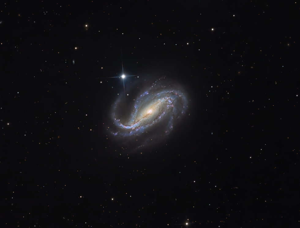 NGC613