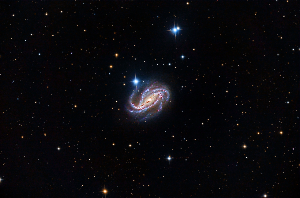 NGC613 Galaxy