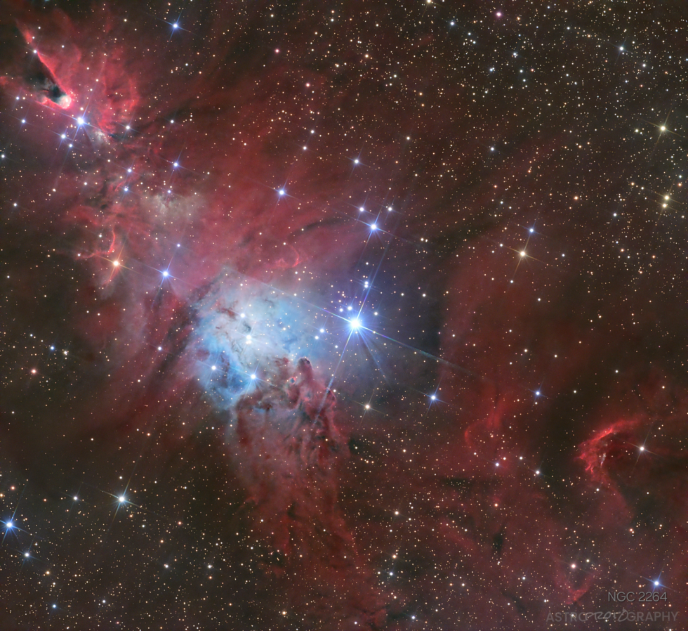 NGC2264