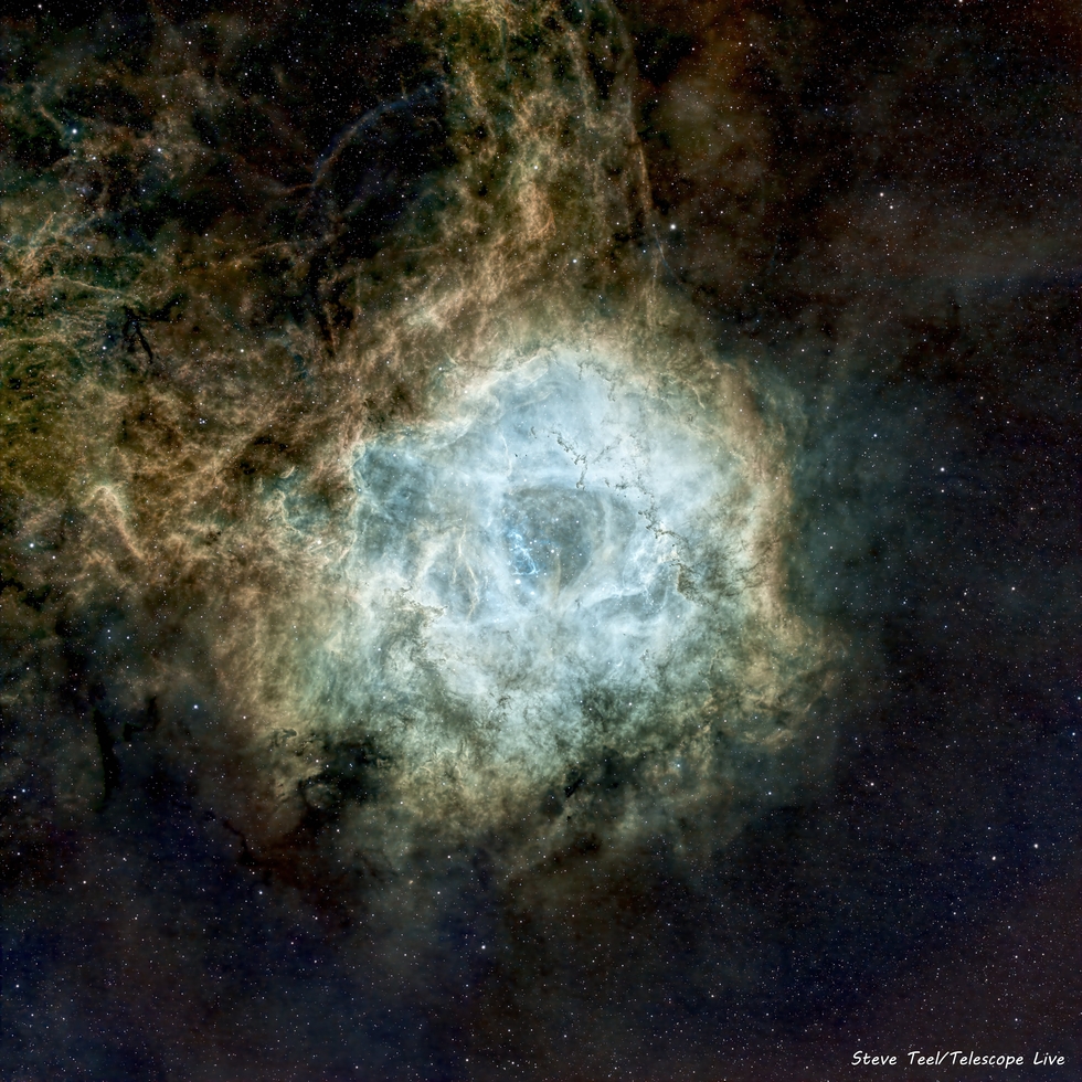 The Rosette Nebula