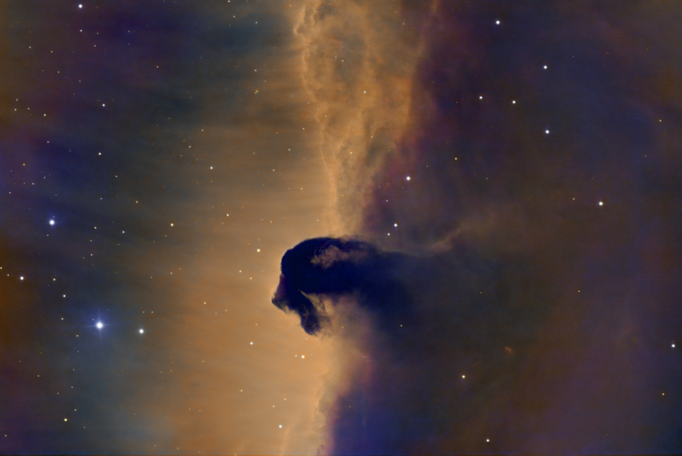 Horse Head Nebula (Barnard 33)