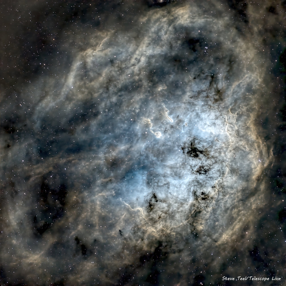 The Tadpoles Nebula