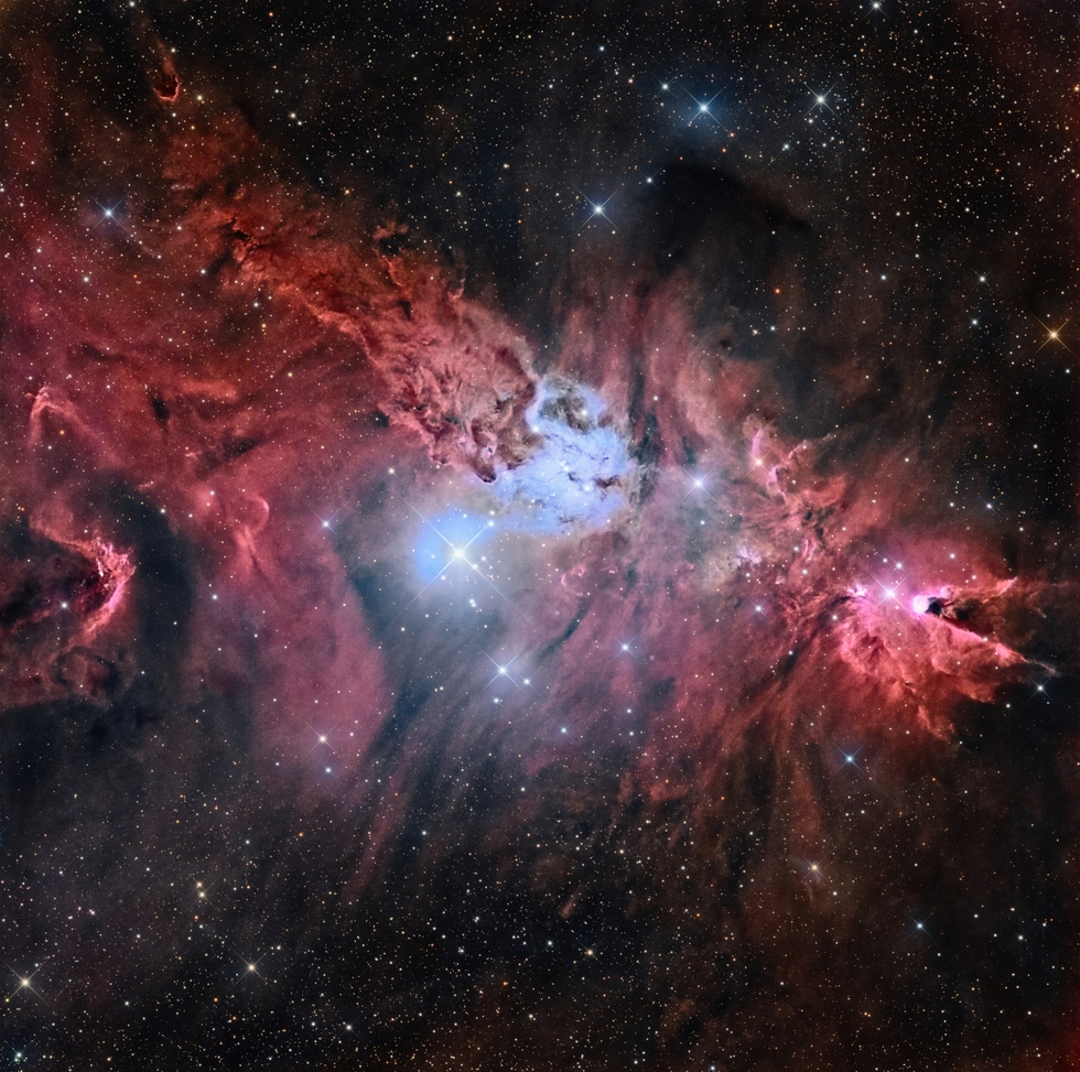 NGC 2264