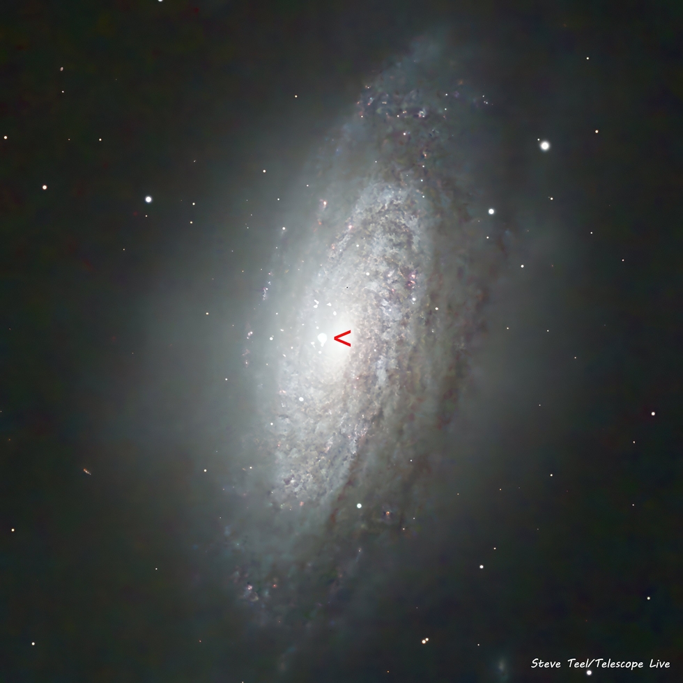 Supernova 2024aecx in NGC3521