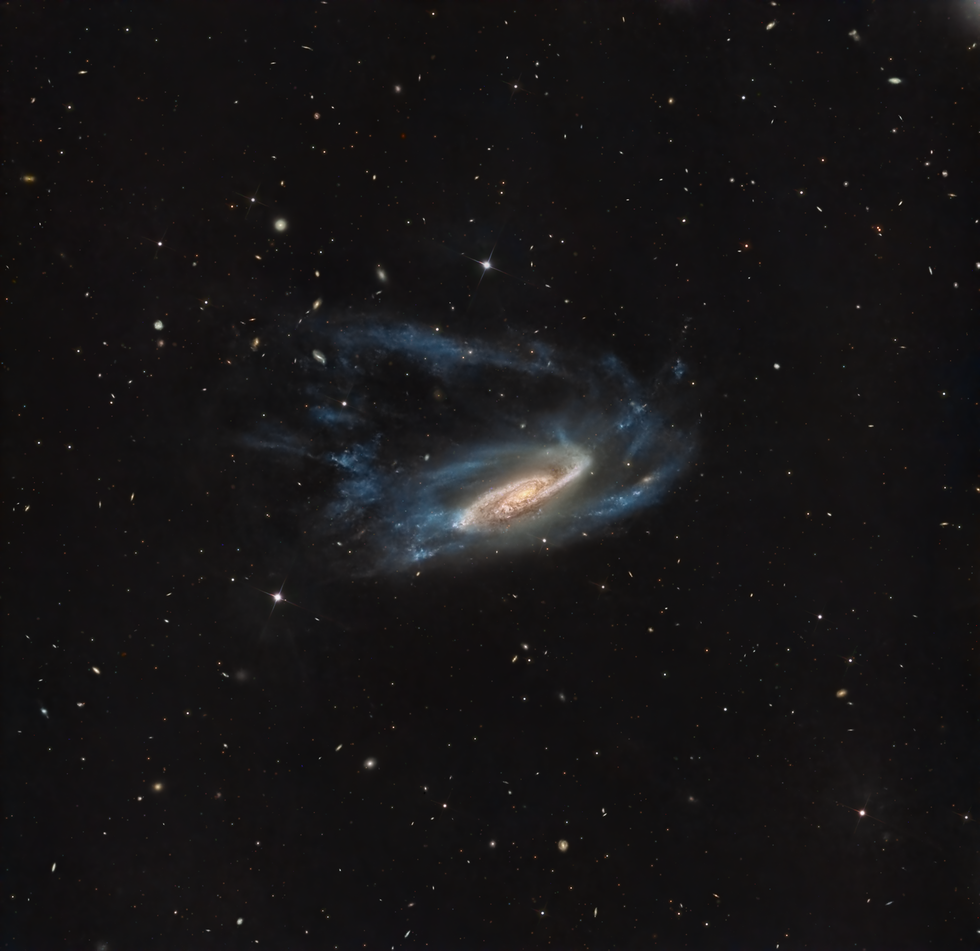 NGC3981 